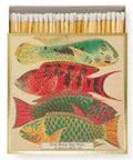 Great Barrier Reef Match Box