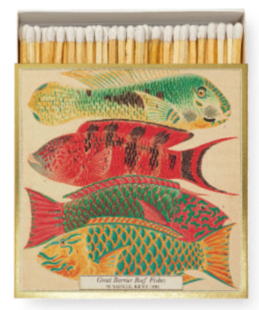 Great Barrier Reef Match Box