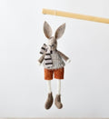 Hanging Boy Rabbit