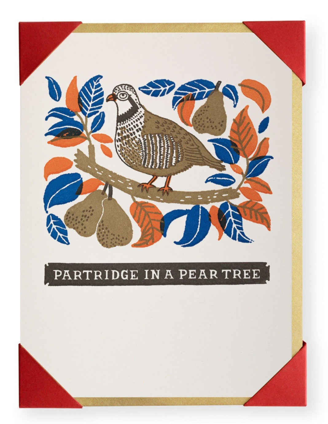 Partridge in a Pear Tree (Pack of 5)