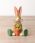 Jasper Rabbit House Plant