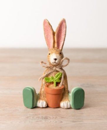 Jasper Rabbit House Plant ,12cm