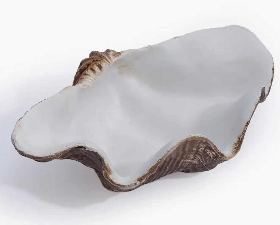 SMALL CLAM DECORATIVE BOWL