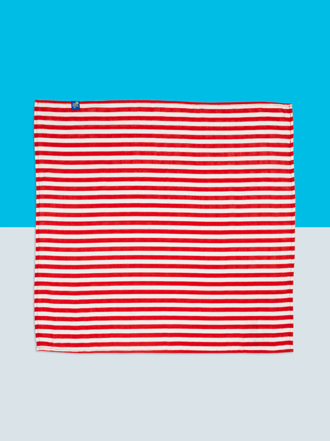 Paddington Let's Go for a Picnic Muslin Squares