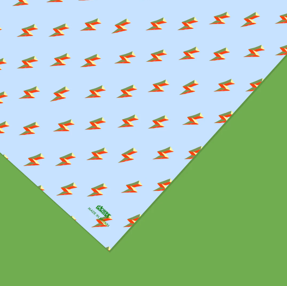 In a Flash Gift Wrap