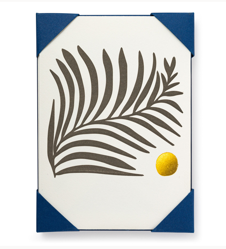 White Fern Card Pack