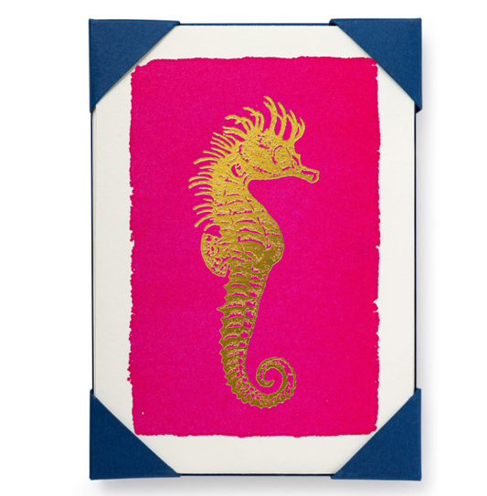 Seahorse Card Pack