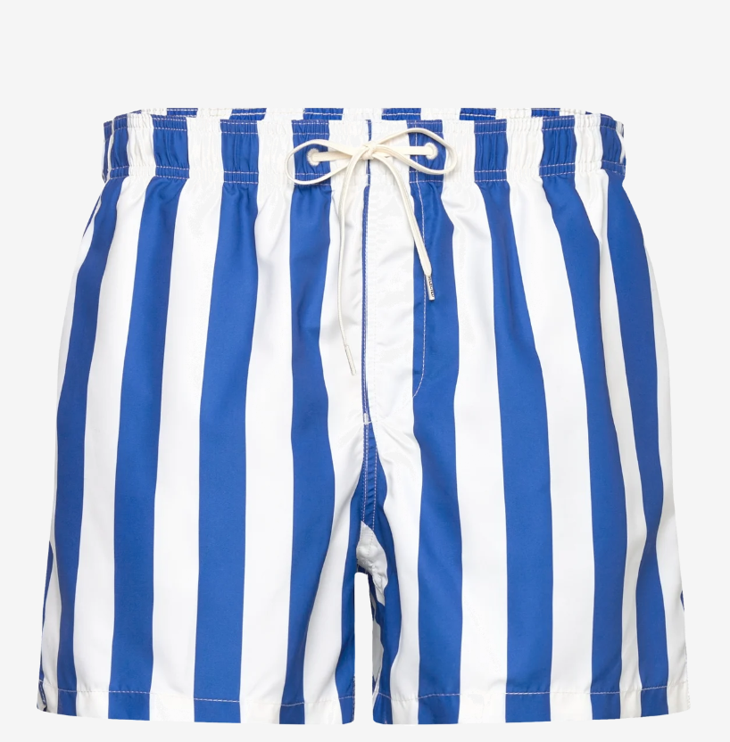 SLHDANE Swimshorts - Nautical Blue / Egret