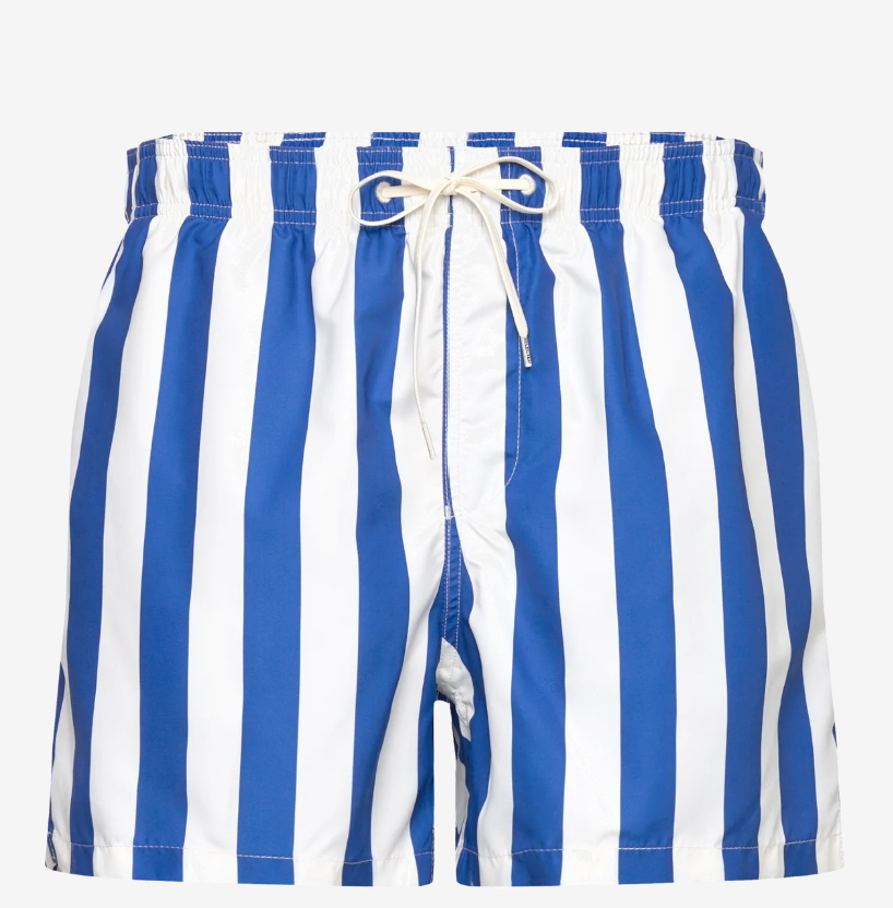 SLHDANE SWIMSHORTS - Nautical Blue / Egret