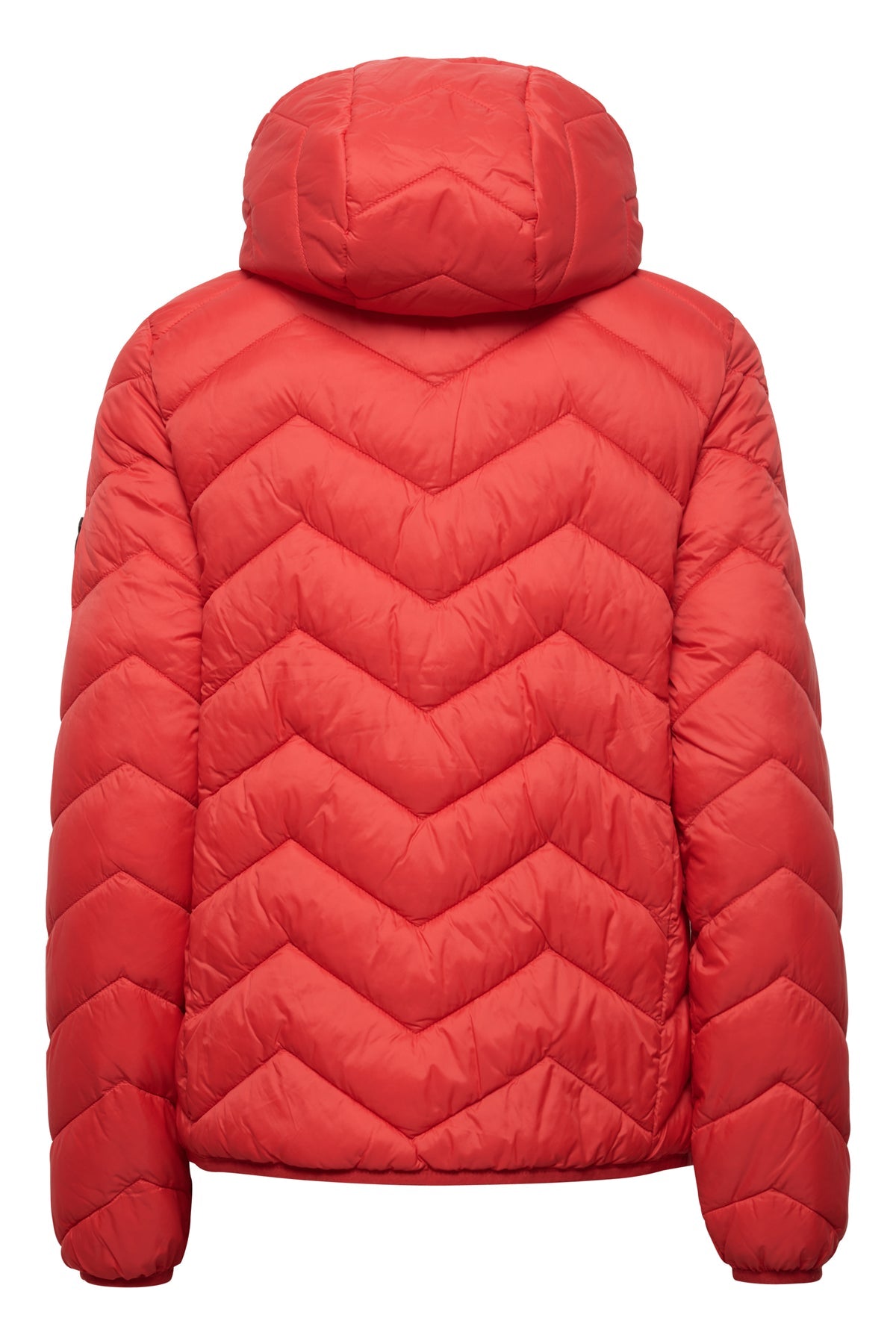 FRPADMA JACKET - Salsa