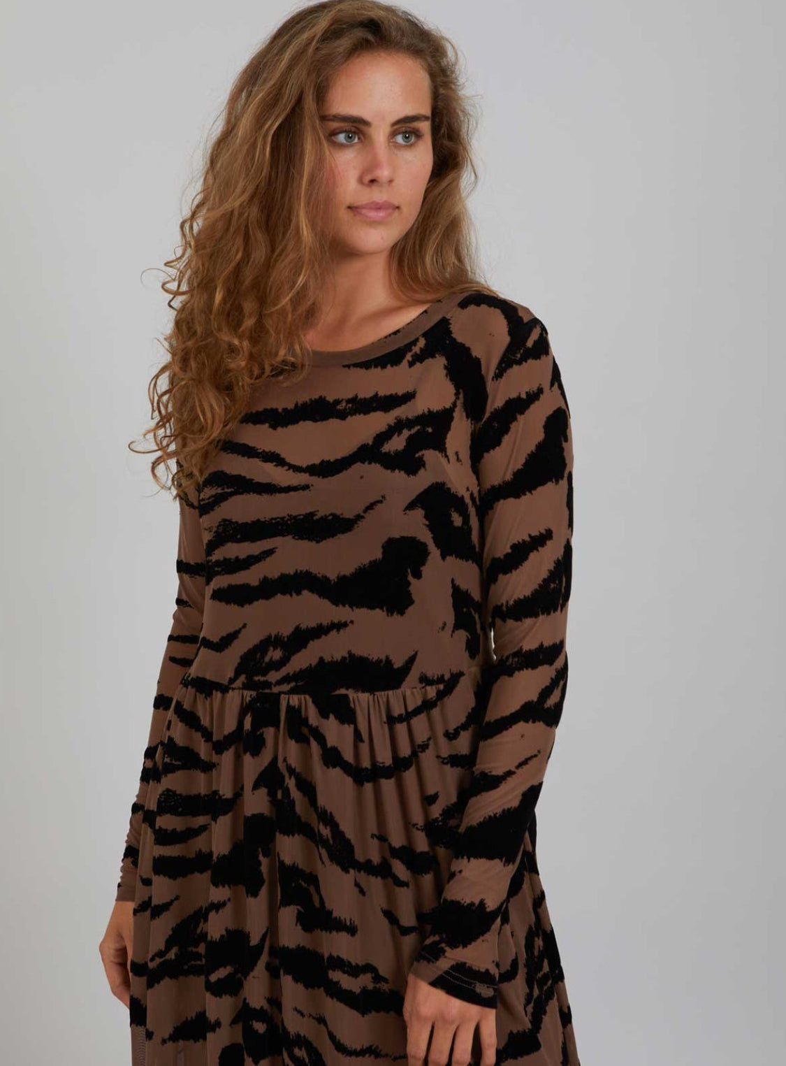 Long Mesh Dress With Zebra Print - Brown