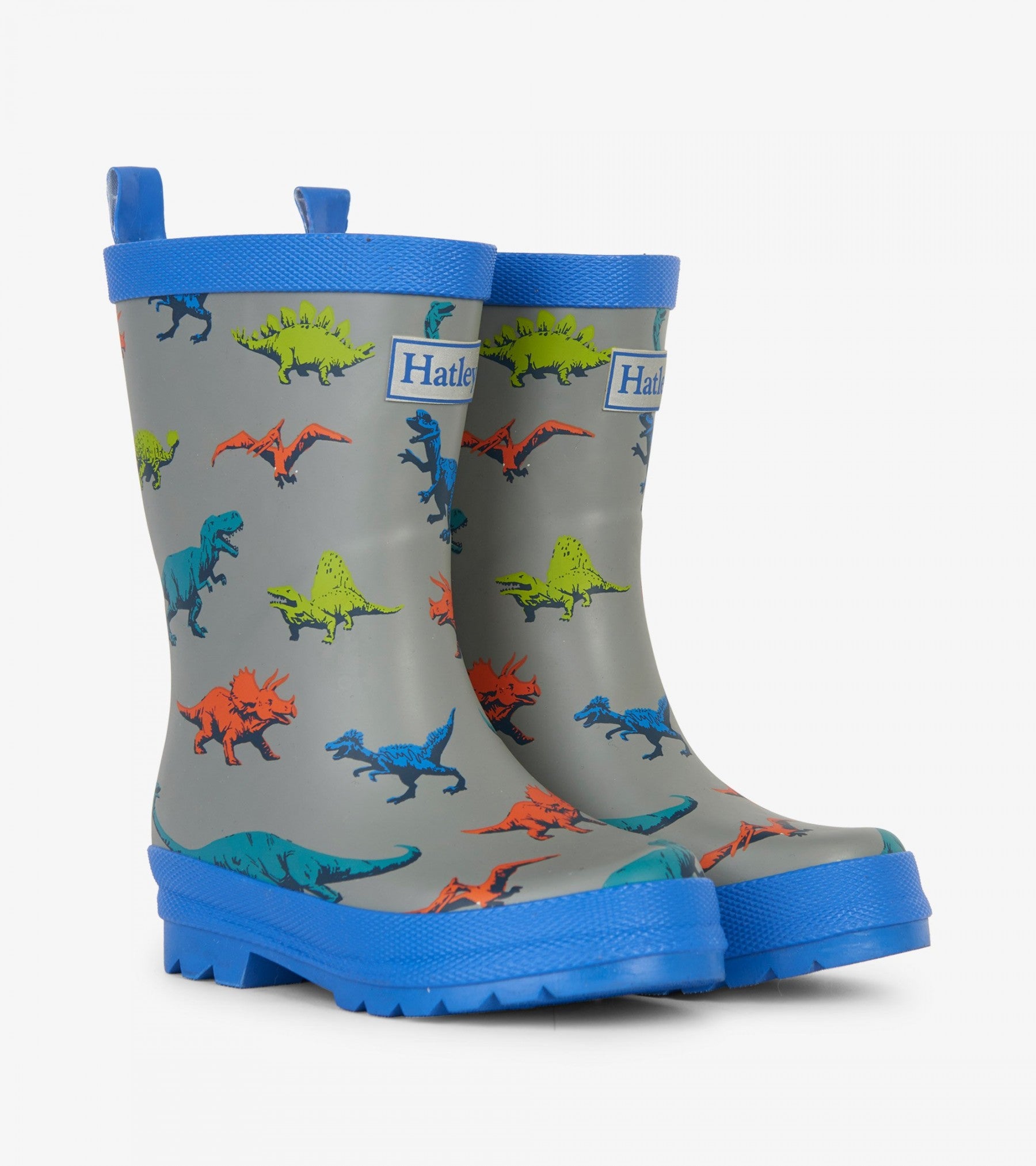 Wild Dinos Matte Rain Boots