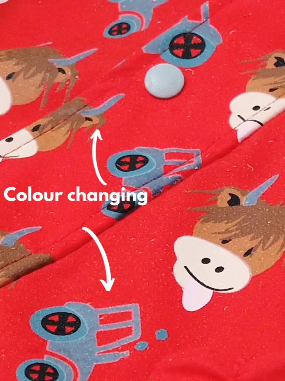 Highland Cow Raincoat