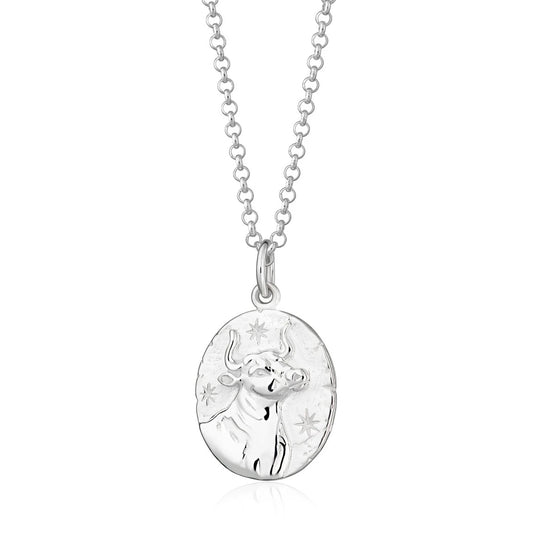 Taurus zodiac necklace - silver
