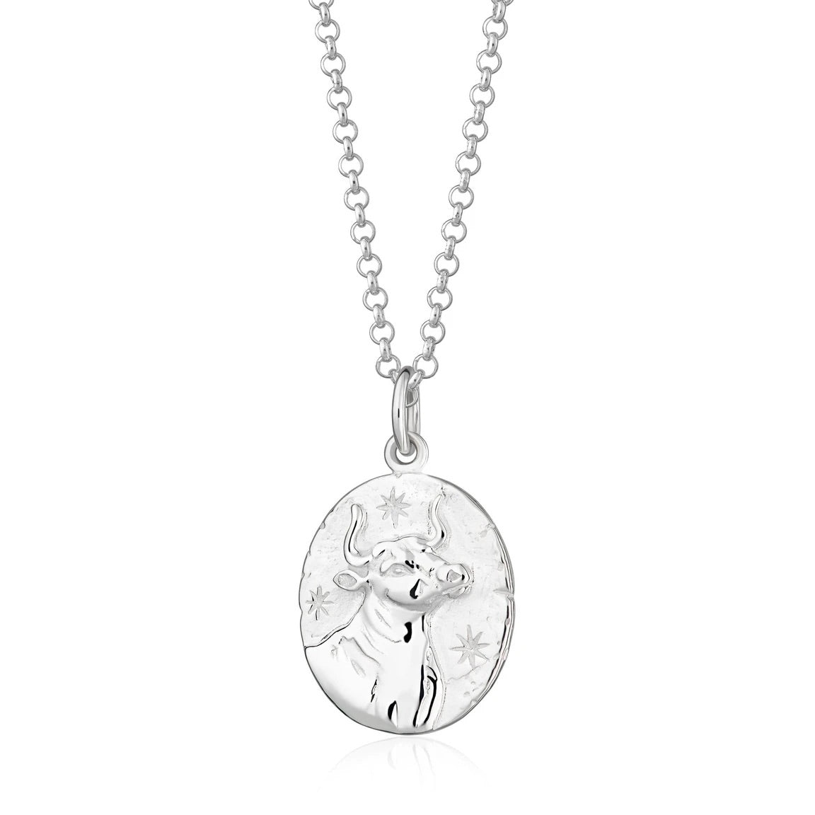 Taurus Zodiac Necklace - Silver