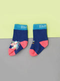 Carnival Horse Socks