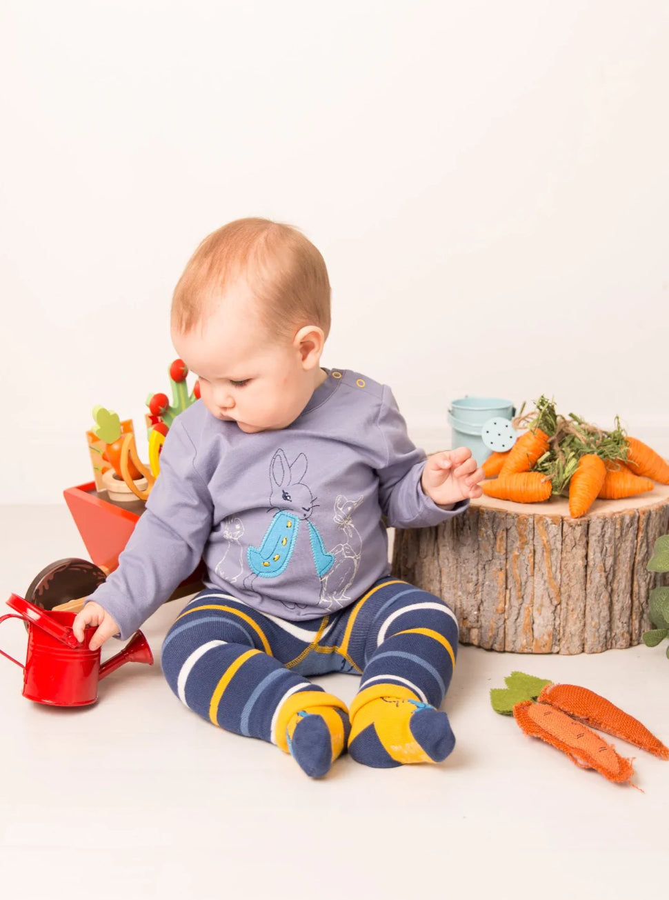 Peter Rabbit Modern Mix Top