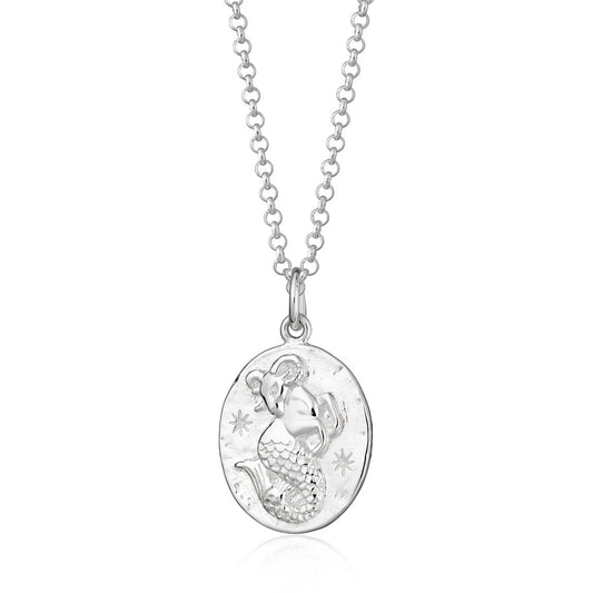 Capricorn zodiac necklace - silver