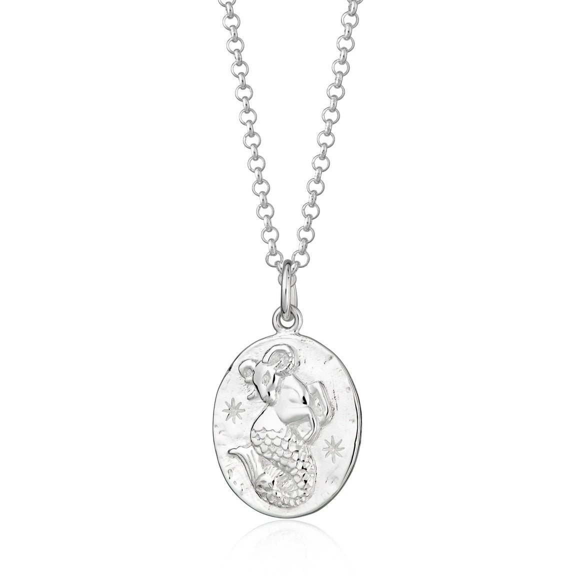 Capricorn zodiac necklace - silver