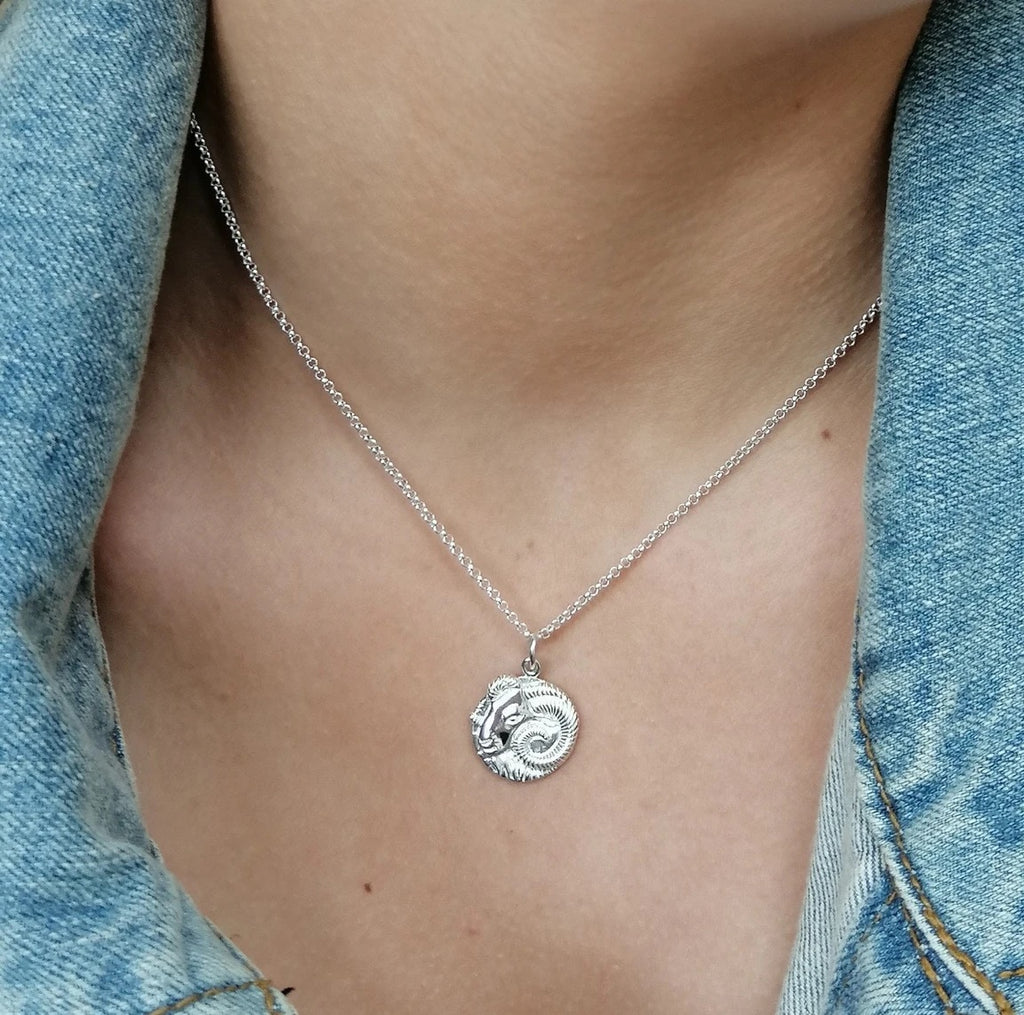 Aries Zodiac Necklace - Silver