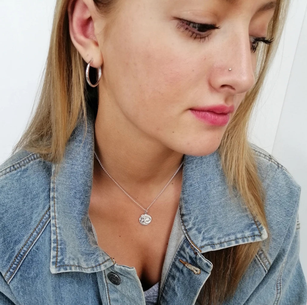 Aries Zodiac Necklace - Silver