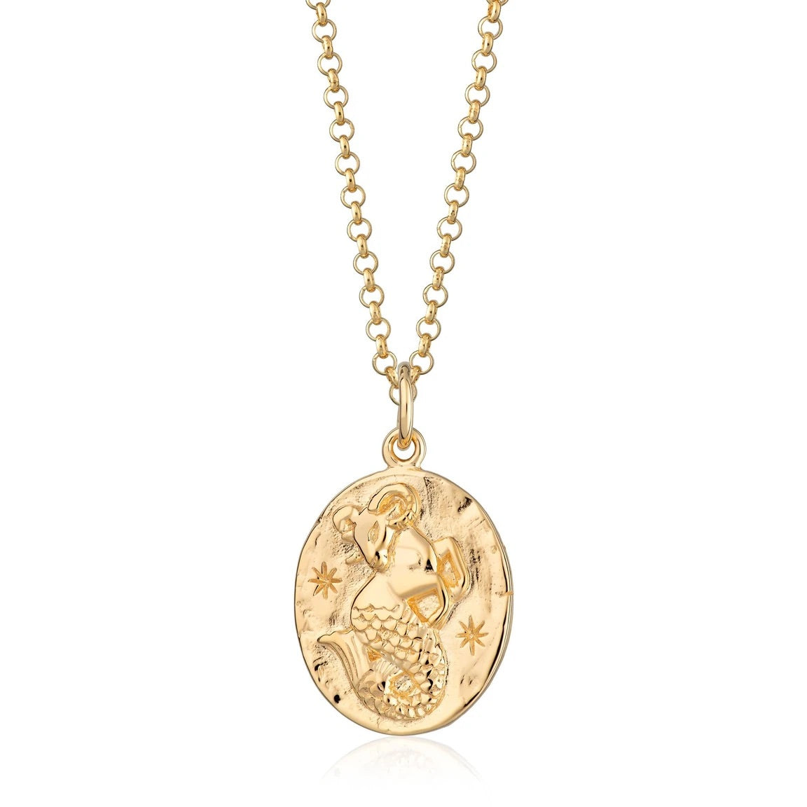 Capricorn Zodiac Necklace - Gold